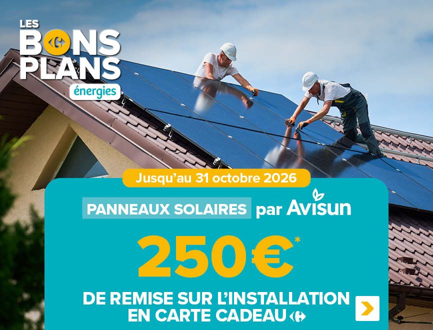 Panneaux solaires