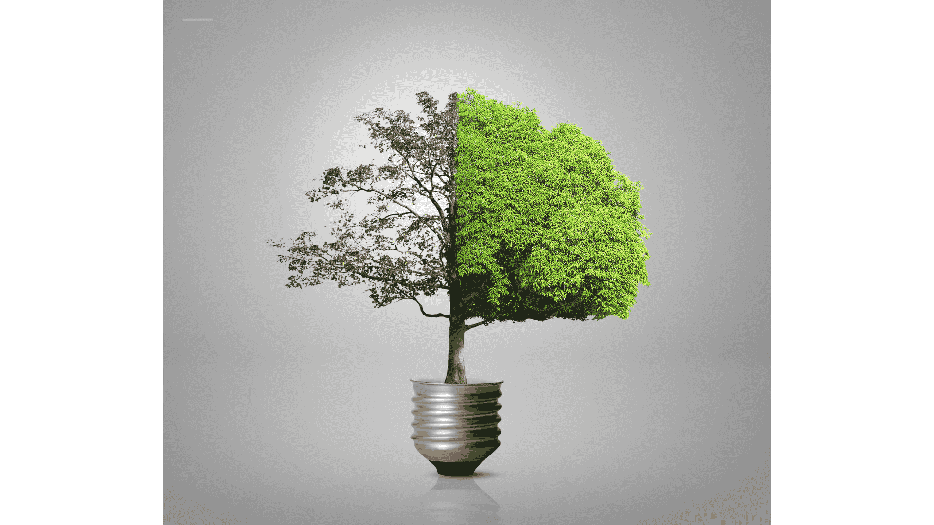 Energie et écologie