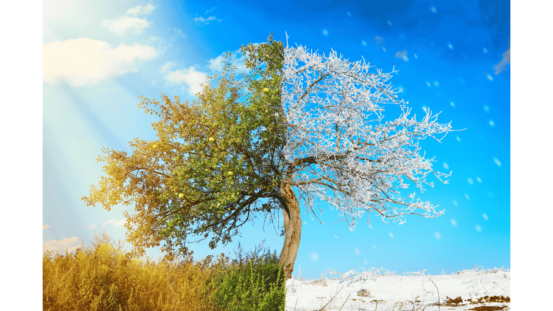 été et hiver